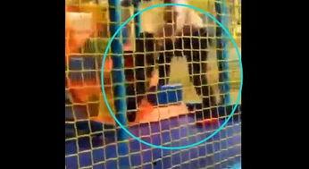 4月6日网友爆料视频,4月6日惊人视频内容揭秘  第1张