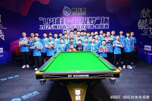 台球曲谱爆料视频,揭秘台球音乐背后的故事与技巧  第2张