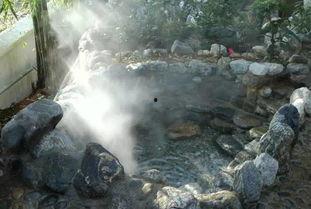 云南温泉爆料事件视频,揭秘神秘事件背后的真相  第3张